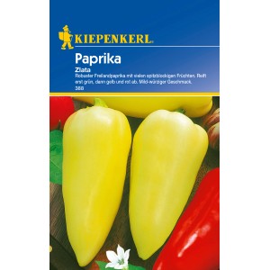 Kiepenkerl Paprika Zlata: Gelbe, spitzblockige Gemüsepaprika, robust und widerstandsfähig.