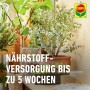 Compo Bio Zitruspflanzenerde Torffrei 10 l_3