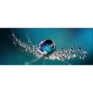 Glasbild Drop On Water, 125x50 cm. Modernes Bild mit Wassertropfen auf Pusteblume vor blauem Hintergrund.