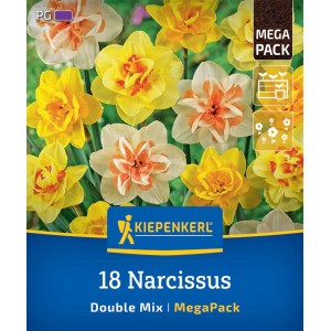 Kiepenkerl Narzissen, gefüllte Blüten in Gelb und Weiß-Orange, 18er Mega-Pack.