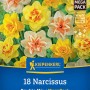 Kiepenkerl Narzissen, gefüllte Blüten in Gelb und Weiß-Orange, 18er Mega-Pack.