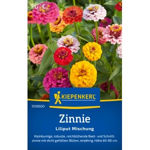 Kiepenkerl Zinnien Liliput Mischung mit bunten Blüten im Gartenbeet.