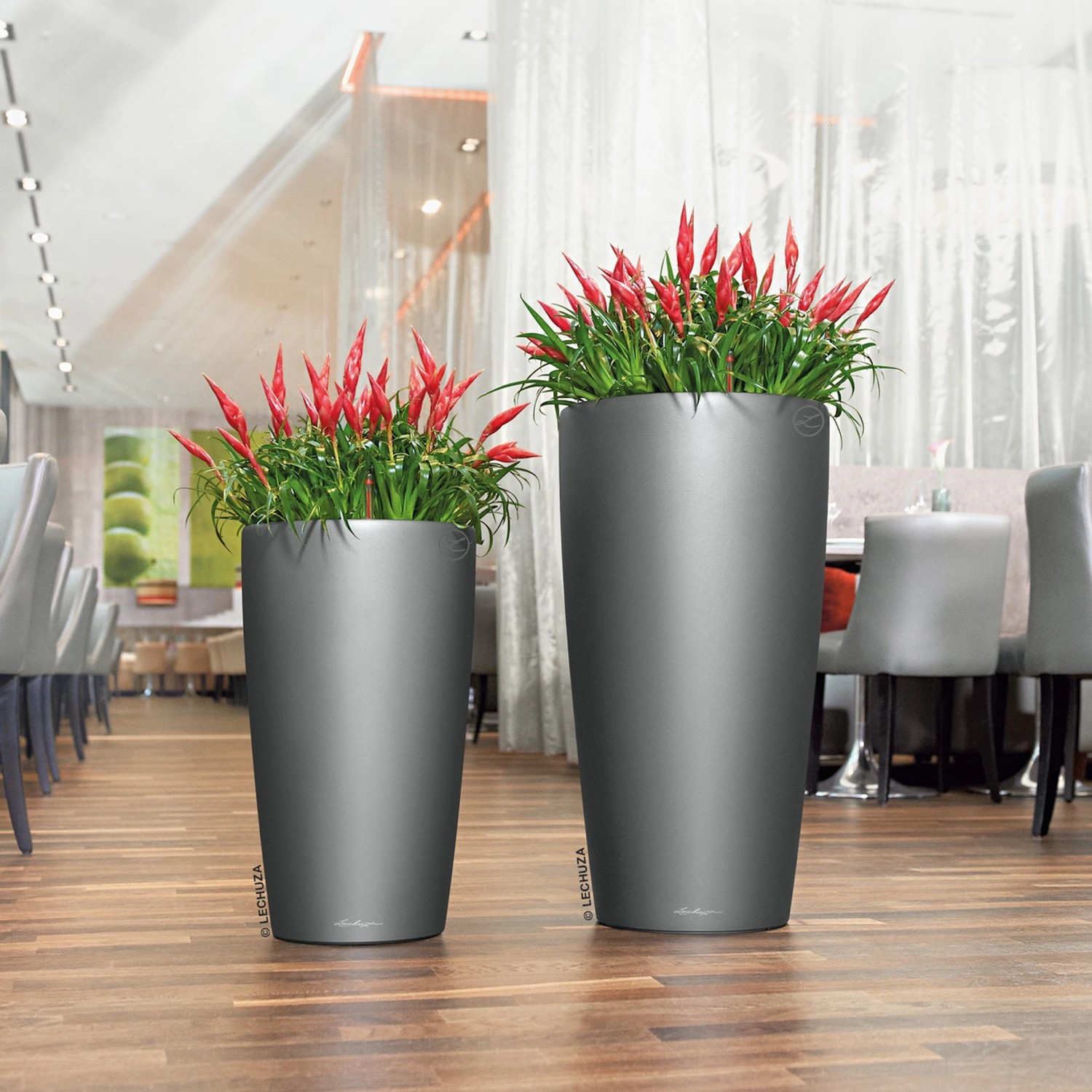 Zwei Lechuza Rondo Premium Pflanzgefäße in Anthrazit metallic mit roten Pflanzen.