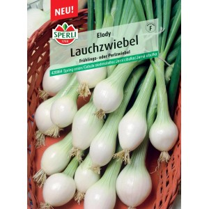 Sperli Lauchzwiebel Elody Samenpackung, Frühlingszwiebeln mit weißen Zwiebeln und grünen Blättern.