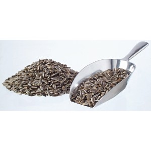 Sonnenblumenkerne für Wildvögel im Eimer (2 kg) neben einer Schaufel.