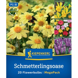 Kiepenkerl Blumenzwiebeln Schmetterlingsoase
