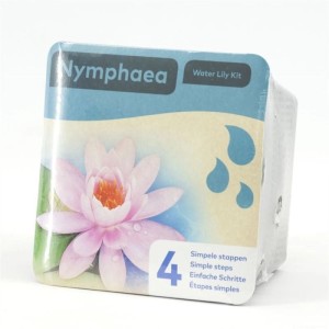 Verpackung einer rosa Seerose (Nymphea) im Topf, ca. 18 cm Durchmesser.