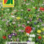 Austrosaat Wiesenblumen-Kräutermischung, mehrfarbig. Blumensamen für eine bunte Blumenwiese.