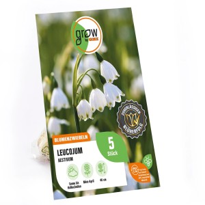 Verpackung der Sommer-Knotenblume 'Leucojum aestivum' von GROW by OBI, weiße Blüten, 40 cm hoch.