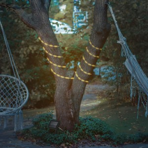 Brilo Solar-LED-Strip, warmweiß, 10 m, um Baum gewickelt. Solarpanel sichtbar.