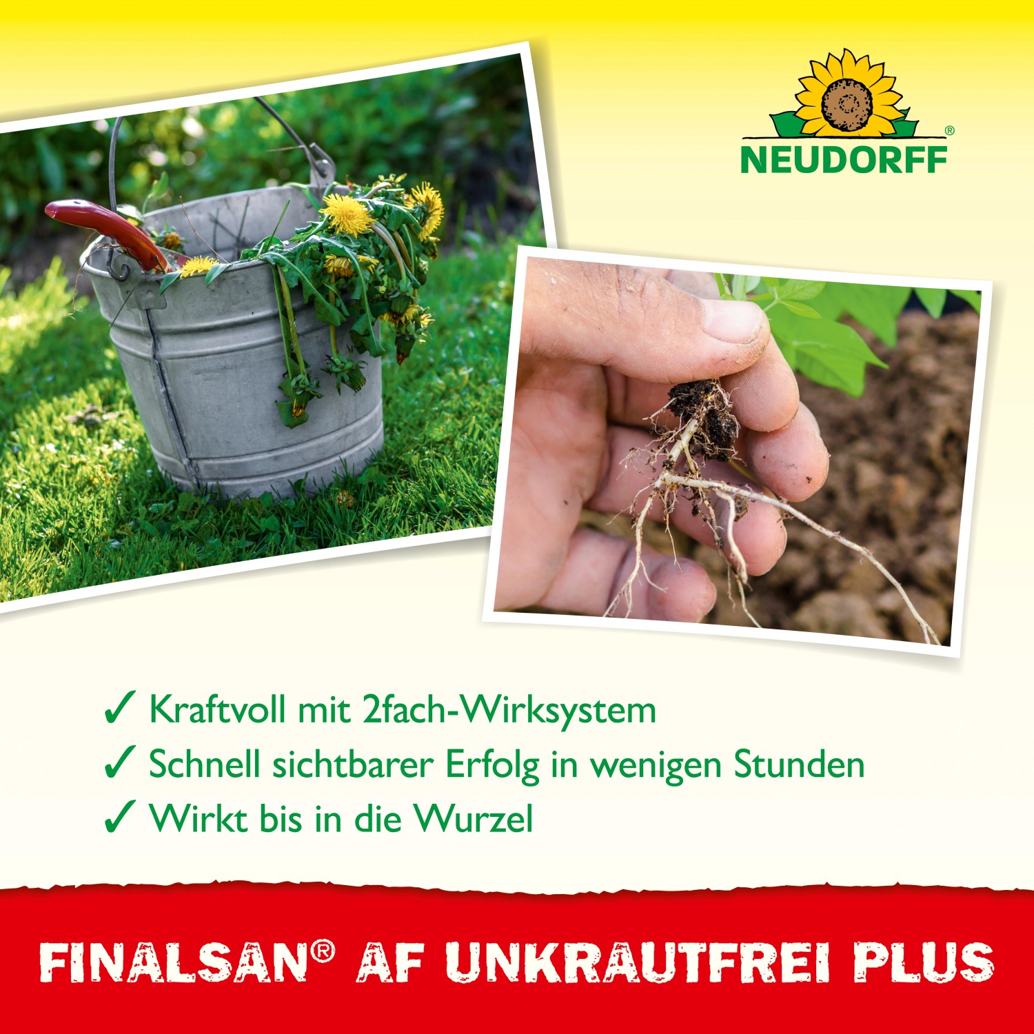 Neudorff Finalsan AF Unkraut-Frei Plus: Eimer mit Unkraut, Hand hält Unkraut mit Wurzeln.