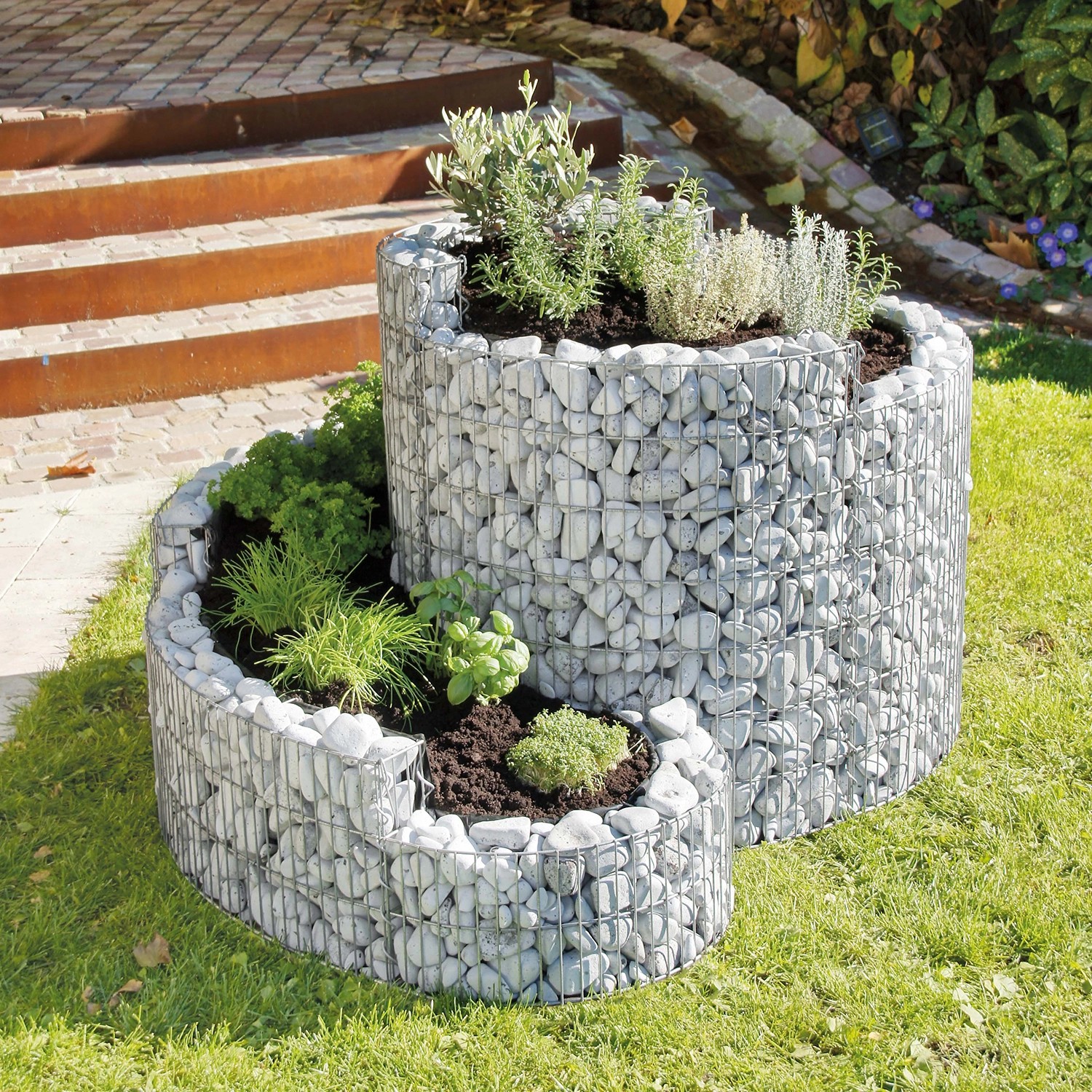 Bellissa Gabionen-Kräuterspirale Grünkraut, befüllt mit Steinen und bepflanzt mit Kräutern.