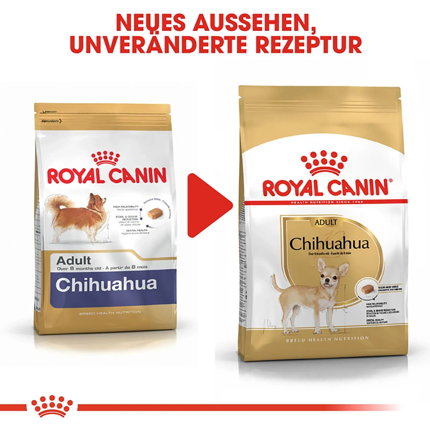 Royal Canin Chihuahua Adult Trockenfutter fr Chihuahua 0,5 kg kaufen bei  OBI
