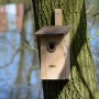 Dobar Beobachtungsnistkasten aus Holz mit drei Lochgrößen, braun, am Baum befestigt.