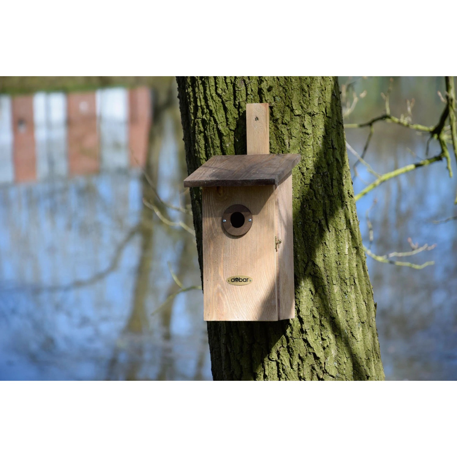 Dobar Beobachtungsnistkasten aus Holz mit drei Lochgrößen, braun, am Baum befestigt.