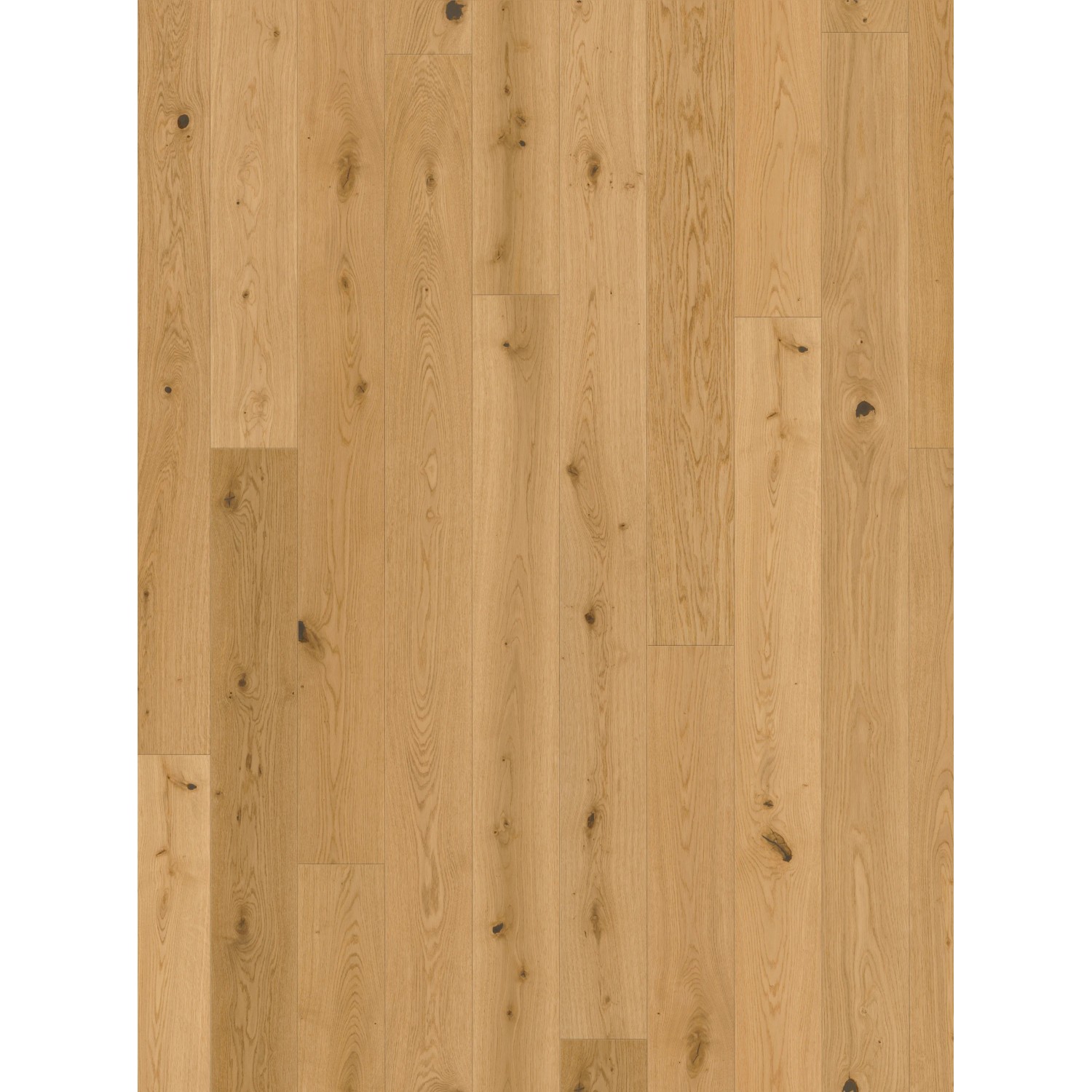 Parador Parkett Trendtime 4 Rustikal Eiche Lugana Natur, matt lackiert, Detailansicht.