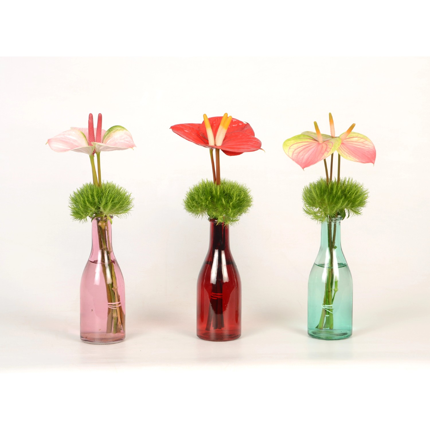 Glasflasche mit Anthurien Schnittblumen Arrangement kaufen bei OBI