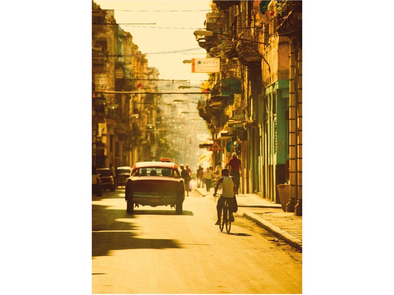 Cuba bei x cm Streets 40 Wandbild Komar kaufen OBI 30
