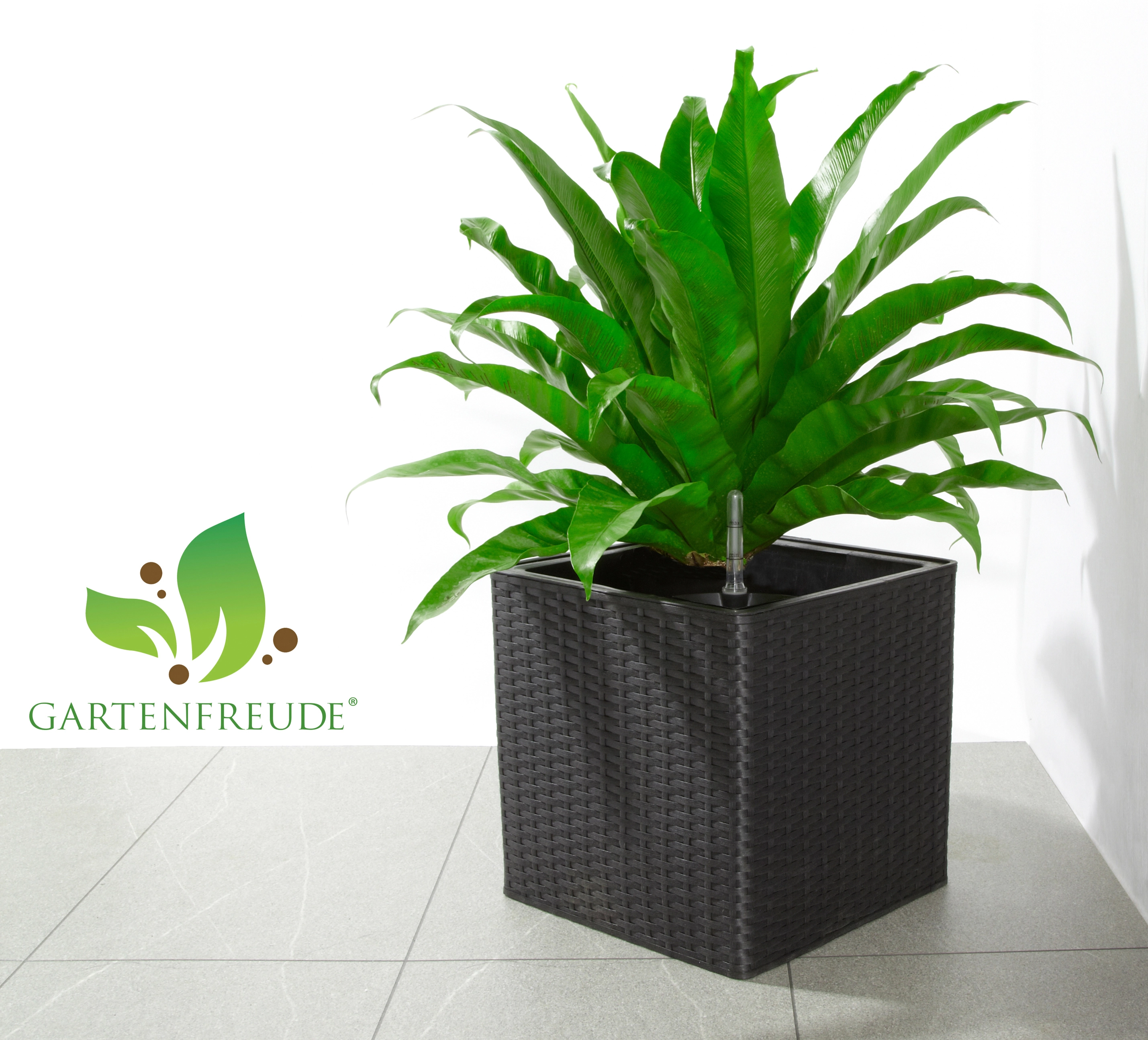 Gartenfreude Pflanzkübel Polyrattan 31 cm x 31 cm Anthrazit kaufen bei OBI