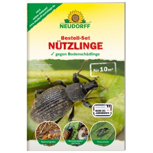 Neudorff Nützlinge Bestell-Set gegen Bodenschädlinge. Verpackung mit Dickmaulrüssler, Gartenlaubkäfer, Trauermücken. Für 10m².