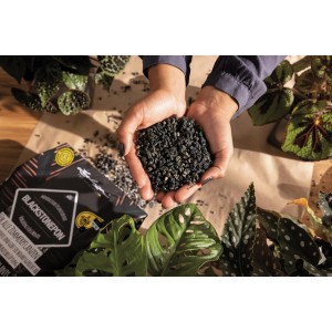 Lechuza Blackstone Pon Pflanzsubstrat in Händen, Zimmerpflanzen im Hintergrund.
