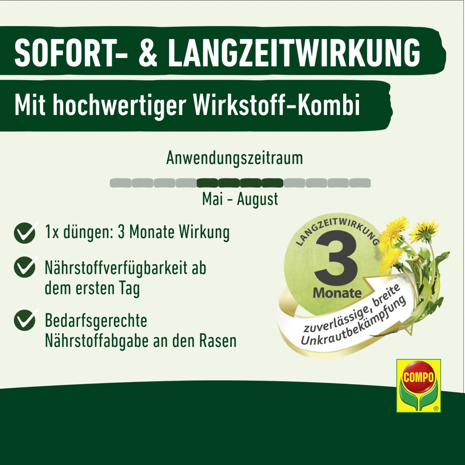 sumpfpflanze zimmerpflanze Japanisches Locheisen Equisetum japonicum main image 0