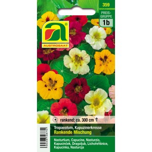 Austrosaat Kapuzinerkresse Rankende Mischung, mehrfarbige Blüten.