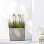 Ecopots Pflanztopf Paris Rollen Braungrau 85 cm x 40 cm x 65 cm_5