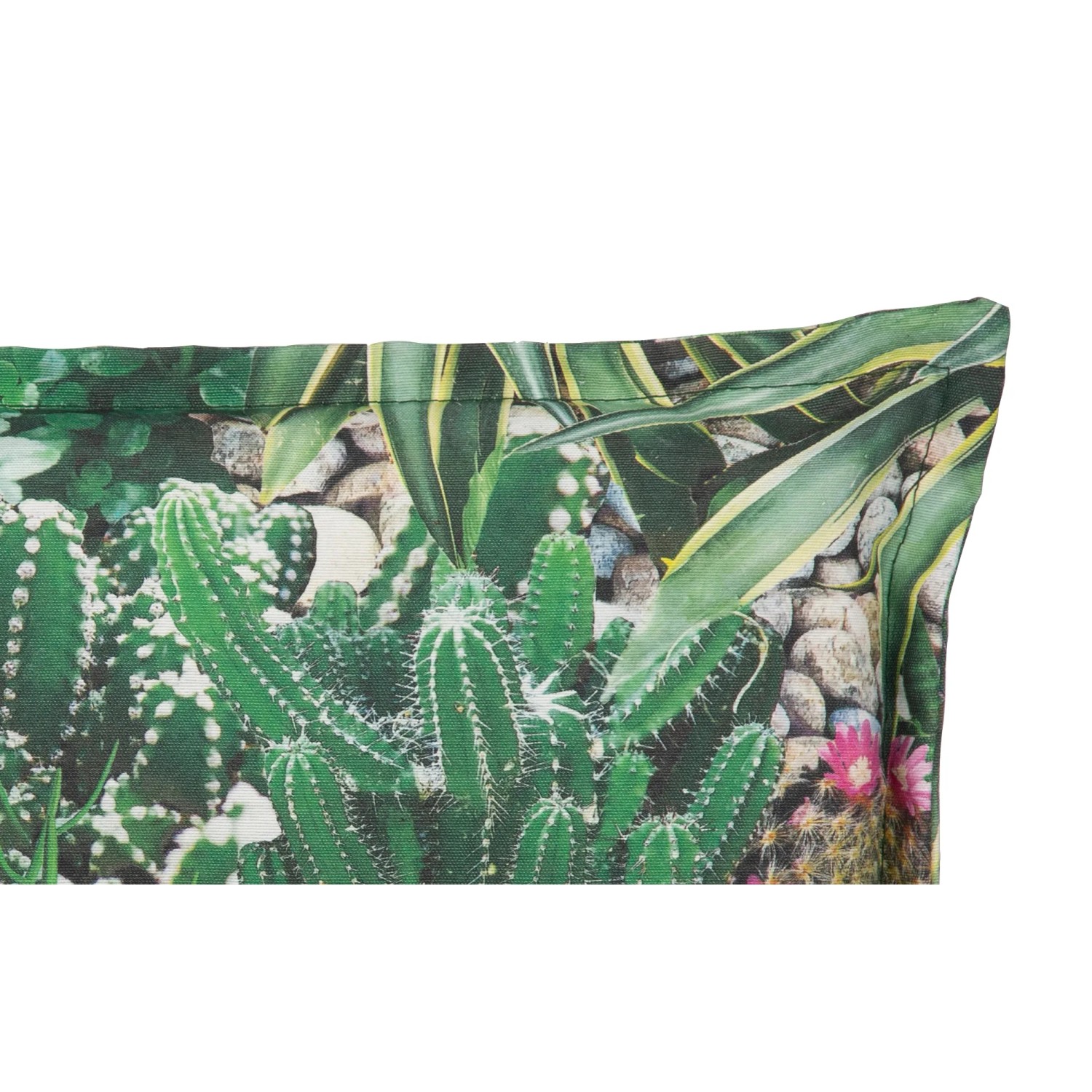 beo® 6er set texas be743 dschungel print mit vogel... Beo Sitzauflage Hochlehner Tegernsee 6er-Set mit Kaktuslandschaft ...
