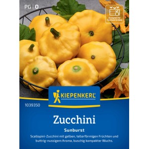 Kiepenkerl Saatgut: Gelbe Zucchini Sunburst F1, tellerförmige Früchte.
