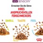 Royal Canin Sensory Smell Katzen-Nassfutter, Soße, 85g. Für wählerische Katzen, regt den Geruchssinn an.