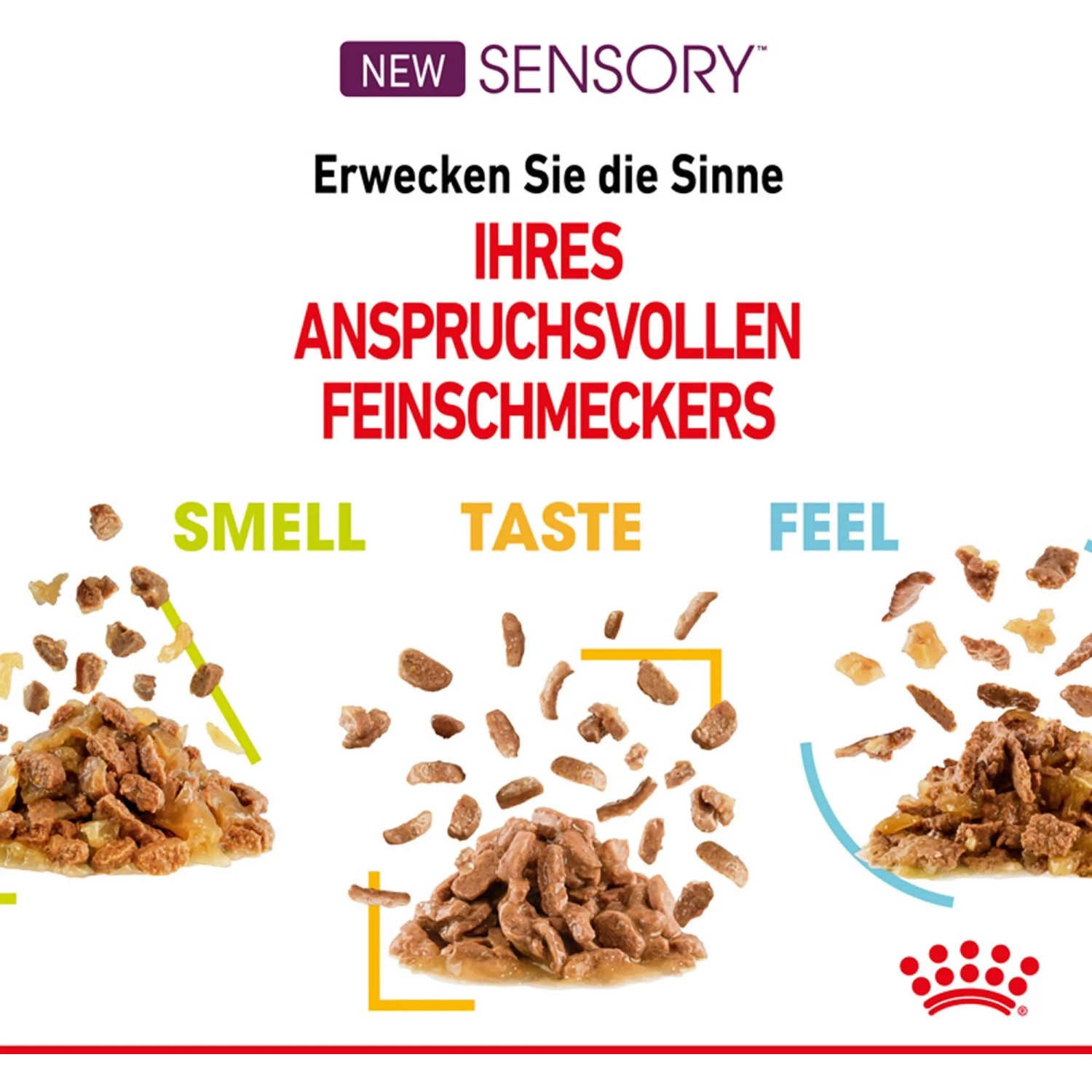 Royal Canin Sensory Smell Katzen-Nassfutter, Soße, 85g. Für wählerische Katzen, regt den Geruchssinn an.