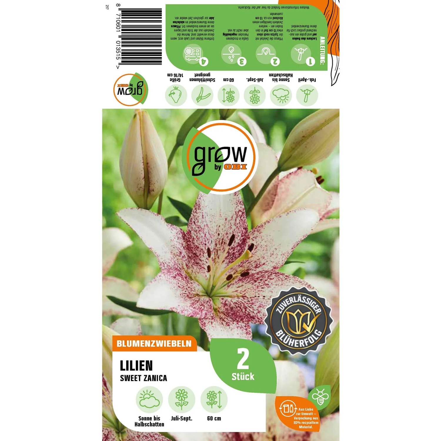 Verpackung der GROW by OBI Lilie Asiatisch Sweet Zanica, Blüten dunkelrot/weiß.