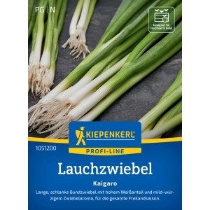 Kiepenkerl Bundzwiebeln Kaigaro: Frische, grüne Lauchzwiebeln mit weißen Schäften und Wurzeln.