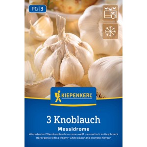 Kiepenkerl Messidrome Winterpflanzknoblauch: weiße Knollen und Zehen auf blauer Verpackung.