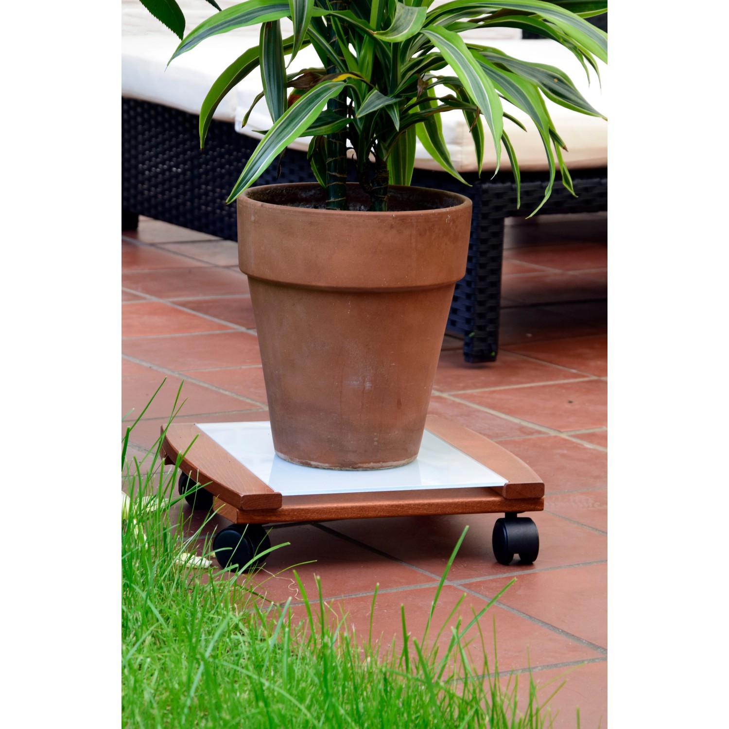 Dobar Pflanzenroller Holz und Glas eckig 33 cm x 32 cm kaufen bei OBI