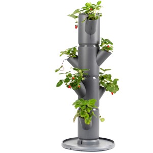 Anthrazitfarbener Gusta Garden Erdbeerturm Sissi Strawberry mit Erdbeerpflanzen.