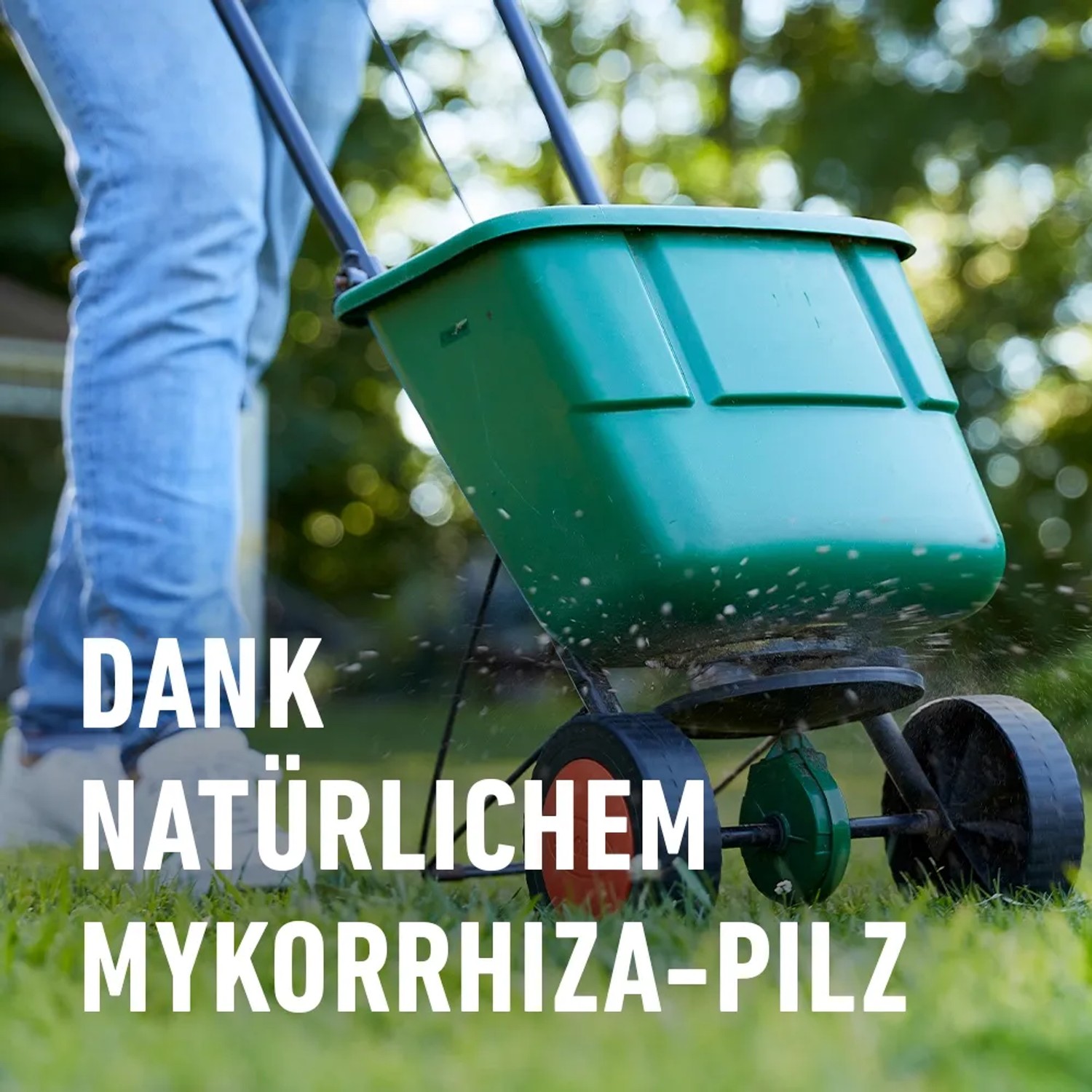 Compo Rasendnger Turbo 5 kg kaufen bei OBI