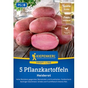 Kiepenkerl Pflanzkartoffel Heiderot, rote Schale, rotes Fruchtfleisch, festkochend, 5 Stück.