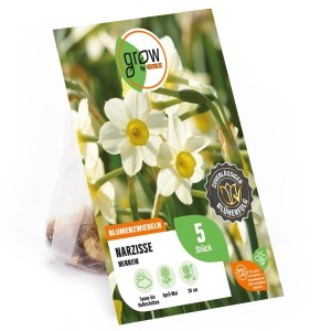 GROW by OBI Narzisse Minnow, weiße Blüten mit gelber Mitte, Blumenzwiebeln im Beutel.