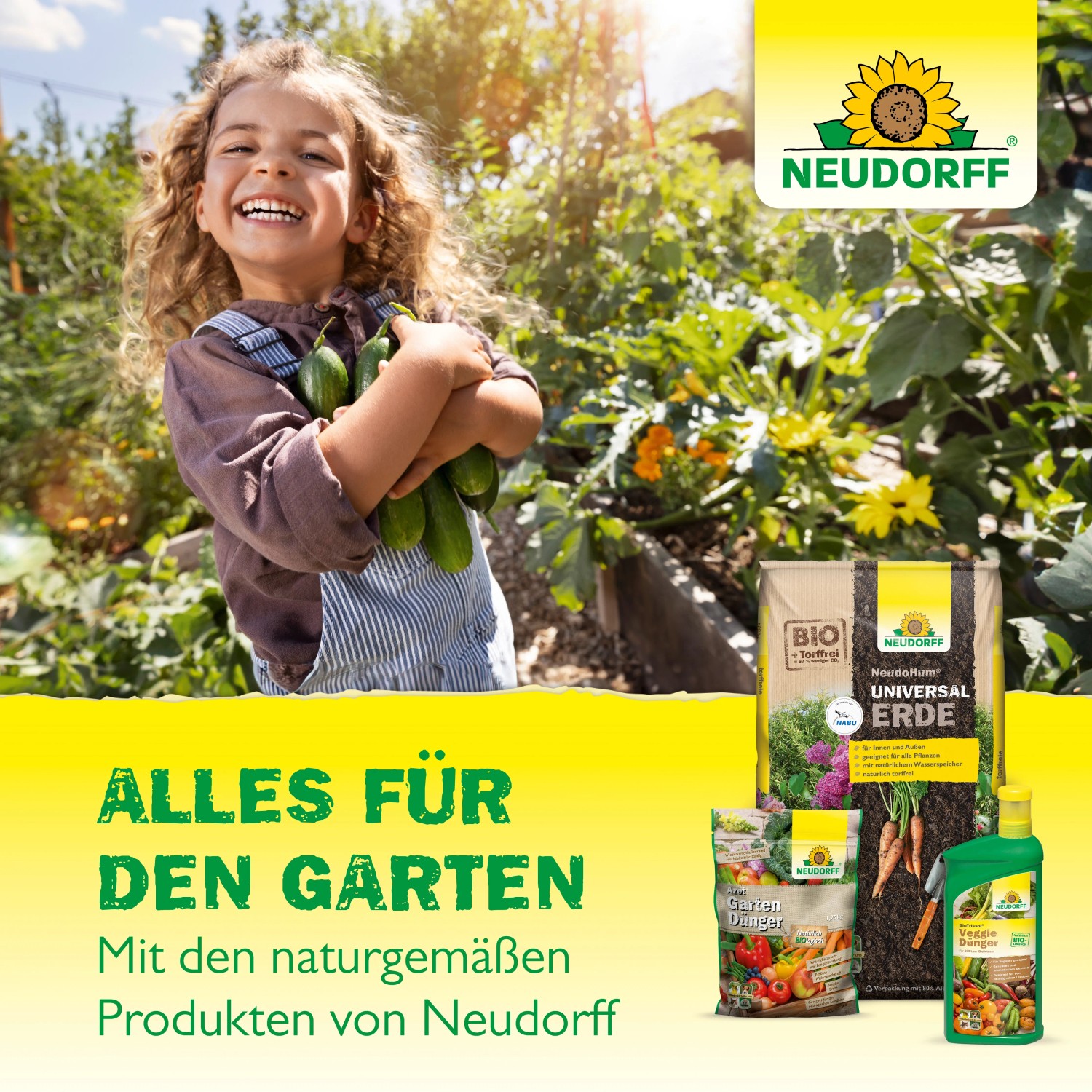 Neudorff Schachtelhalm Extrakt 250 ml kaufen bei OBI