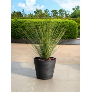 Anthrazitfarbener Deroma Pflanztopf Original (Ø 48 cm) mit Pflanze auf Terrasse. Frost- & UV-beständig, handgefertigt.
