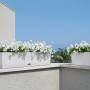 Weißer Lechuza Balconera Cottage 80 Blumenkasten mit Bewässerungssystem und weißen Blumen.