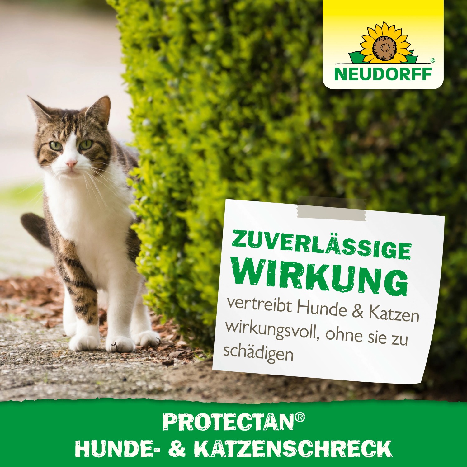 Neudorff Hunde- und Katzen-Schreck AF 500 ml kaufen bei OBI