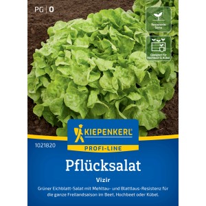 Kiepenkerl Saatgut Pflücksalat Vizir