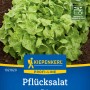Kiepenkerl Pflücksalat Vizir Saatgut, grüne Blätter im Beet.