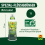Compo Grünpflanzen- und Palmendünger 1L Flasche. Flüssigdünger für Zimmer-, Balkon- und Terrassenpflanzen.