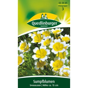 Quedlinburger Sumpfblume 'Spiegeleier': Blumensamen mit weiß-gelben Blüten für Beet und Balkon.