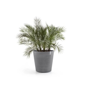 Ecopots Pflanztopf Amsterdam mit Rollen Ø 60 cm Grau