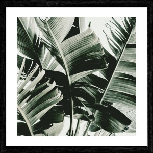 Pro Art Bild Framed Art Jungle Leaves IV 50 cm x 50 cm